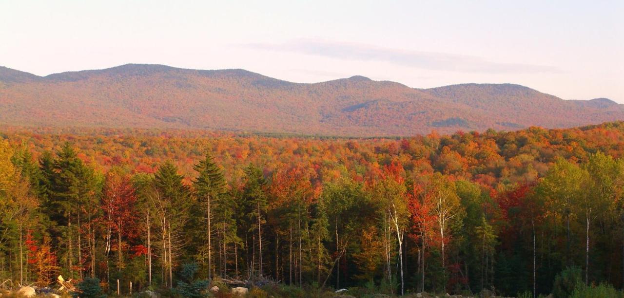 Robert Frost Mountain Cabins Middlebury Eksteriør billede